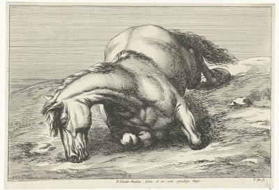 Caballo muerto acostado sobre el lado derecho Caballos muertos (título de la serie) de Jan van Huchtenburg
