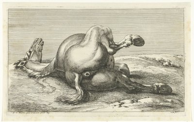 Caballo muerto visto desde atrás Caballos muertos (título de la serie) de Jan van Huchtenburg