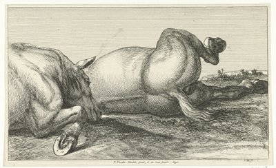 Dos caballos muertos tirados en fila Caballos muertos (título de la serie) de Jan van Huchtenburg