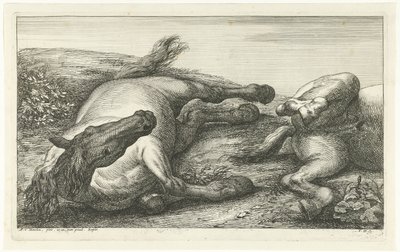 Dos caballos caídos, el izquierdo visto de frente Caballos muertos (título de la serie) de Jan van Huchtenburg