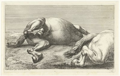 Dos caballos caídos, el derecho visto de lado Caballos muertos (título de la serie) de Jan van Huchtenburg