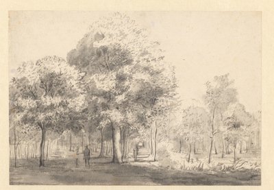 Vista del Haarlemmerhout, Haarlem de Jan van Kessel (attributed to)
