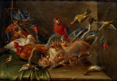 Composición decorativa de naturaleza muerta con pájaros y dos murciélagos, mediados del siglo XVII de Jan van Kessel