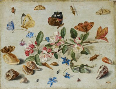 Flores e insectos, finales de 1650 o principios de 1660 de Jan van Kessel