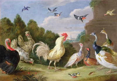 Paisaje Boscoso con un Gallo, Pavo, Gallinas y otras Aves, siglo XVII de Jan van Kessel the Elder