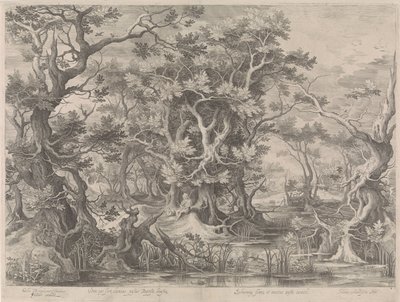 Juan el Bautista rezando en un paisaje pantanoso de Jan van Londerseel