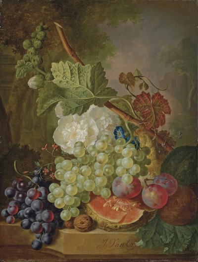 Flores, uvas, ciruelas, nueces y un melón en una repisa de piedra de Jan van Os