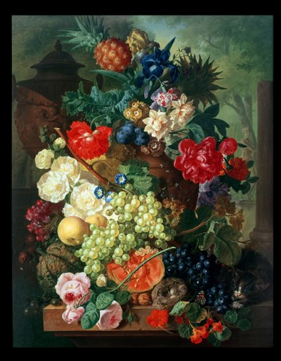 Imagen desconocida de Jan van Os