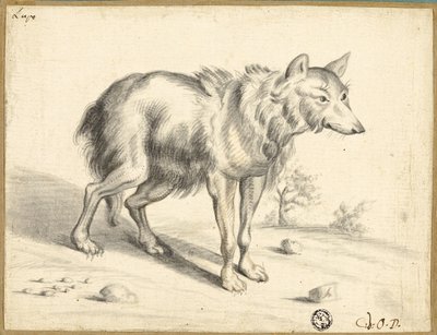 Lobo de Jan van Os