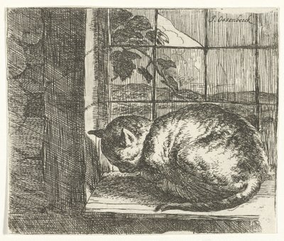 Gato en el marco de la ventana de Jan van Ossenbeeck