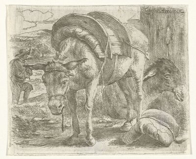 Pakezel de Jan van Ossenbeeck
