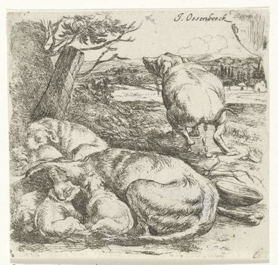 perra con cachorros de Jan van Ossenbeeck