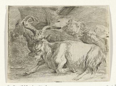 Dos cabras y dos ovejas de Jan van Ossenbeeck