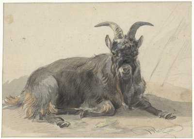 Cabra negra reclinada de Jan van Ravenswaay