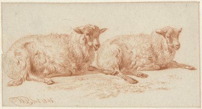 Estudio de dos ovejas reclinadas de Jan van Ravenswaay