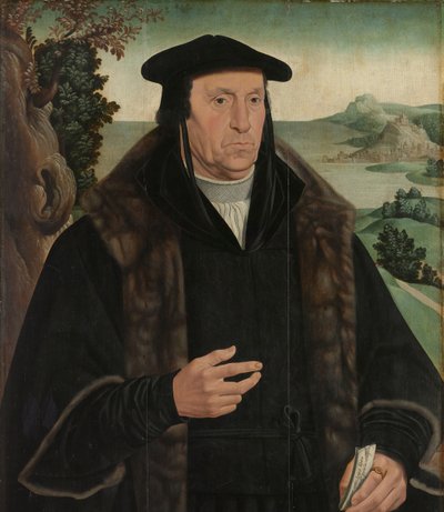Retrato de Cornelis Aerentsz van der Dussen (1481-1556) de Jan van Scorel (copy after)