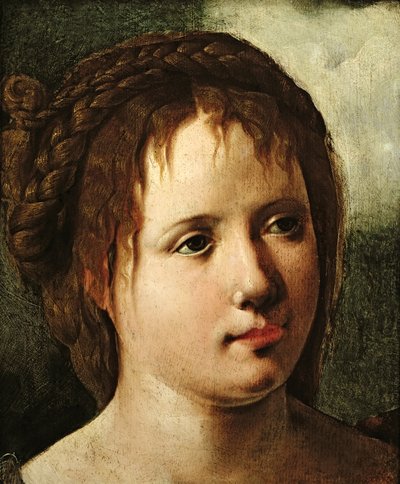 Cabeza de una niña, 1530-35 de Jan van Scorel