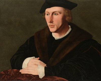 Retrato de Joris van Egmond
Retrato de Joris van Egmond (1504-1559) de Jan van Scorel