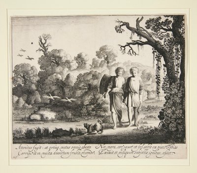Tobías y el Ángel, con el Pez de la Historia de Tobías de Jan van de Velde II