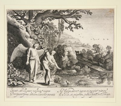 Tobias ve el pez, de la Historia de Tobias de Jan van de Velde II