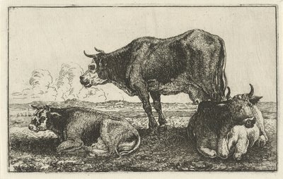 tres vacas Animales (título de la serie) Zoographiam (título de la serie) de Jan van den Hecke
