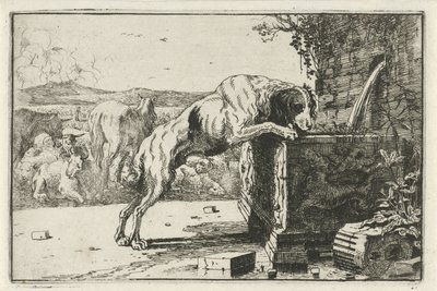 perro en una fuente Animales (título de la serie) Zoographiam (título de la serie) de Jan van den Hecke