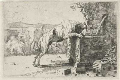 perro en una fuente Animales (título de la serie) Zoographiam (título de la serie) de Jan van den Hecke