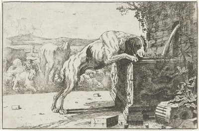 perro en una fuente Animales (título de la serie) Zoographiam (título de la serie) de Jan van den Hecke
