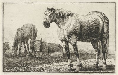 caballos y vacas Animales (título de la serie) Zoographiam (título de la serie) de Jan van den Hecke