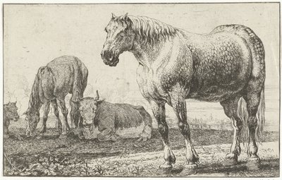 caballos y vacas Animales (título de la serie) Zoographiam (título de la serie) de Jan van den Hecke