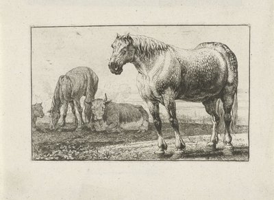 caballos y vacas Animales (título de la serie) Zoographiam (título de la serie) de Jan van den Hecke
