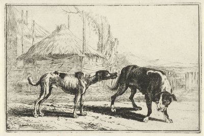 Hombre y mujer Animales (título de la serie) Zoographiam (título de la serie) de Jan van den Hecke