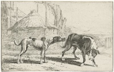 Hombre y mujer Animales (título de la serie) Zoographiam (título de la serie) de Jan van den Hecke