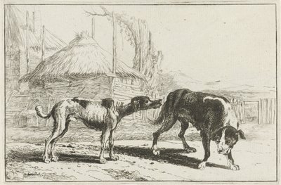 Hombre y mujer Animales (título de la serie) Zoographiam (título de la serie) de Jan van den Hecke