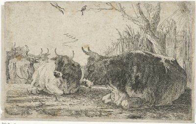 vacas descansando Animales (título de la serie) Zoographiam (título de la serie) de Jan van den Hecke