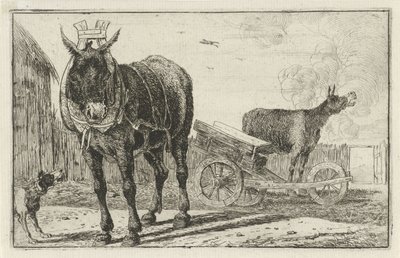 dos burros Animales (título de la serie) Zoographiam (título de la serie) de Jan van den Hecke