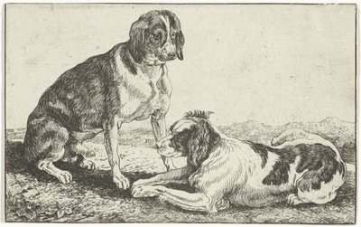 Dos perros descansando Animales (título de la serie) Zoographiam (título de la serie) de Jan van den Hecke