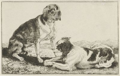 Dos perros descansando Animales (título de la serie) Zoographiam (título de la serie) de Jan van den Hecke