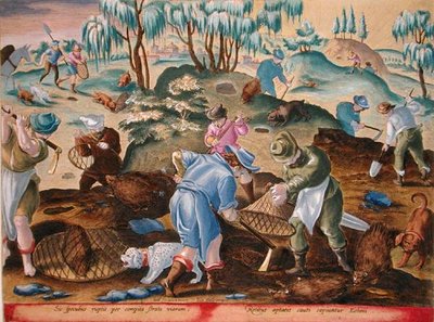 Desenterrando y capturando puercoespines, lámina 54 "Venationes Ferarum, Avium, Piscium" (De la caza: bestias salvajes, aves, peces) grabado por Jan Collaert (1566-1628) publicado por Phillipus Gallaeus de Amsterdam (grabado coloreado a mano) de Jan van der (1523 1605) (after) Straet