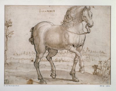 Estudio para un caballo sicambro de Jan van der Straet