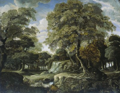 Vista en el bosque de Jan van der Heyden