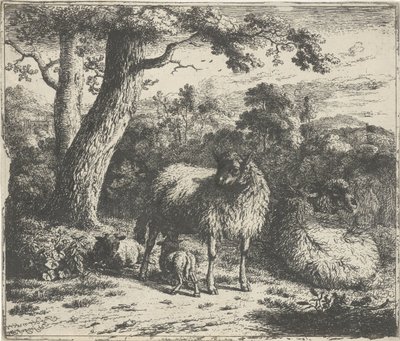 Ovejas de pie con dos corderos de Jan van der Meer (II)
