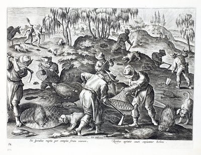 Excavando y capturando puercoespines, lámina 54, ilustración de 