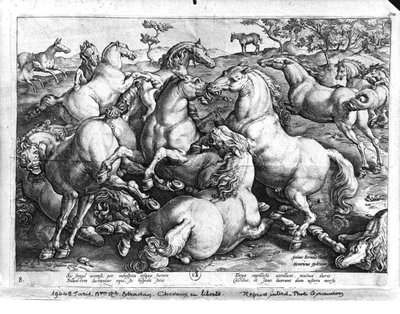 Caballos en la naturaleza de Jan van der Straet