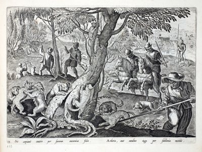 Cazando gatos con perros, ilustración de 