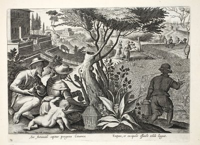 Cazando codornices, ilustración de 