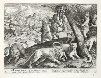 Indios disparan flechas a leones que han capturado monos en sus bocas, ilustración de 