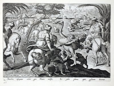 Moros a caballo cazando avestruces, lámina 62, ilustración de 