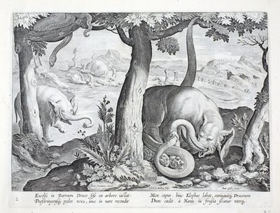 Serpiente usada en la caza de elefantes, ilustración de 