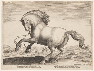 Un caballo danés, del cuarto conjunto de "Equile Joannis Austriaci" de Jan van der Straet, called Stradanus